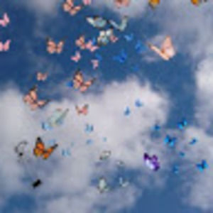 Meet your Posher, Im is dead